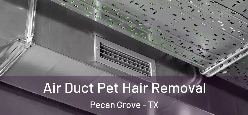 Air Duct Pet Hair Removal Pecan Grove - TX