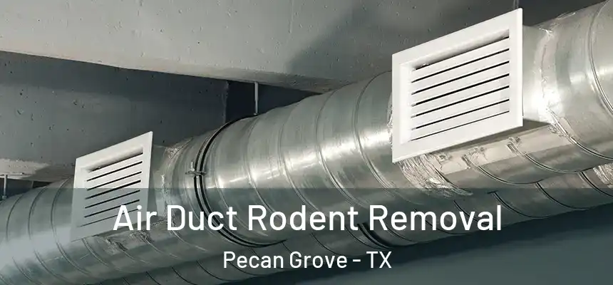  Air Duct Rodent Removal Pecan Grove - TX