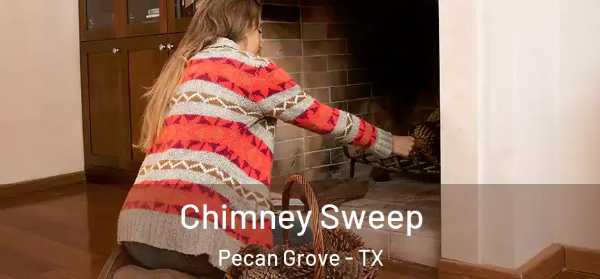Chimney Sweep Pecan Grove - TX