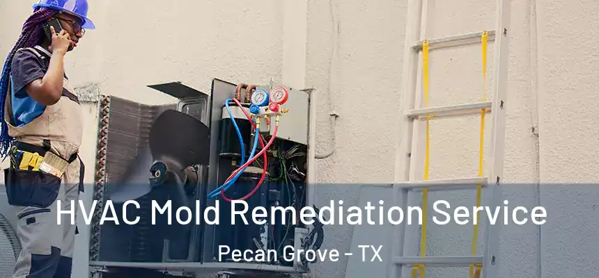 HVAC Mold Remediation Service Pecan Grove - TX