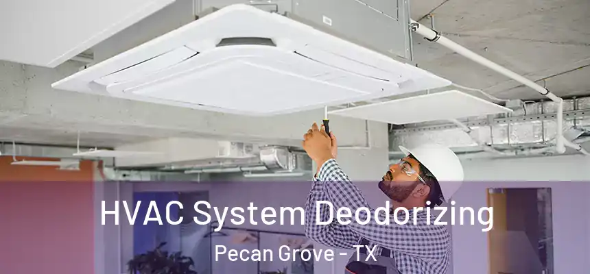 HVAC System Deodorizing Pecan Grove - TX