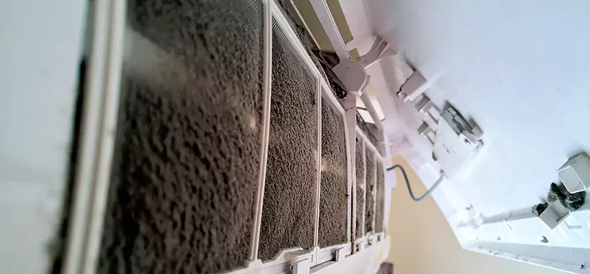 Preventive Air Duct Bacteria Removal in Pecan Grove