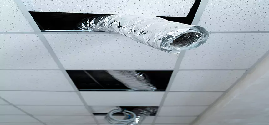 Our Air Duct Pet Hair Removal Services in Pecan Grove, TX