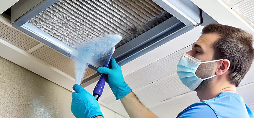 Proactive Dryer Vent & Auxiliary Duct Pollen Cleanup in Pecan Grove, TX