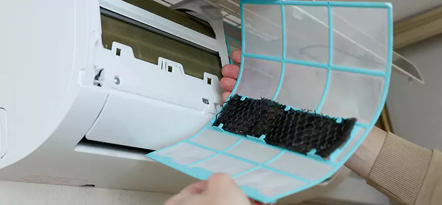 Gentle Ductwork Odor-Control Pet Dander Duct Cleaning in Pecan Grove, TX