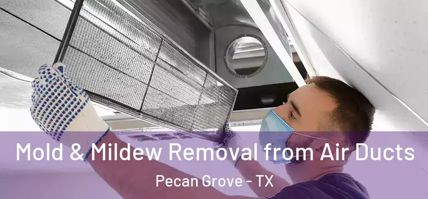  Mold & Mildew Removal from Air Ducts Pecan Grove - TX