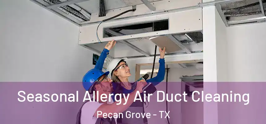 Seasonal Allergy Air Duct Cleaning Pecan Grove - TX
