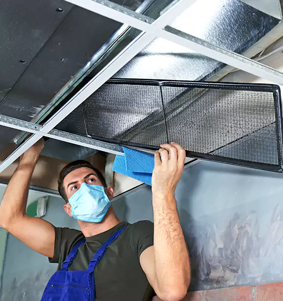 Professional Air Duct Pollen Cleaning in Pecan Grove, TX