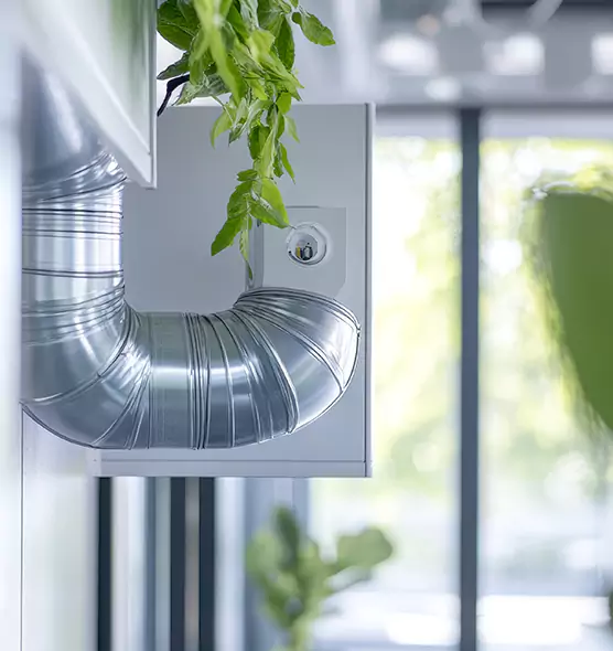 Professional Eco-Safe Dryer Vent Cleaning in Pecan Grove, TX