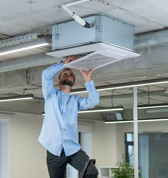 Advanced Rodent Droppings In Vents in Pecan Grove, TX