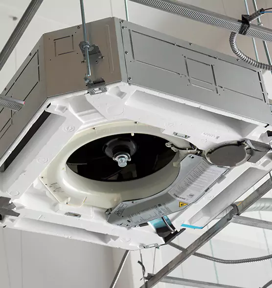 Professional Roof Vent Lint Removal Pecan Grove, TX