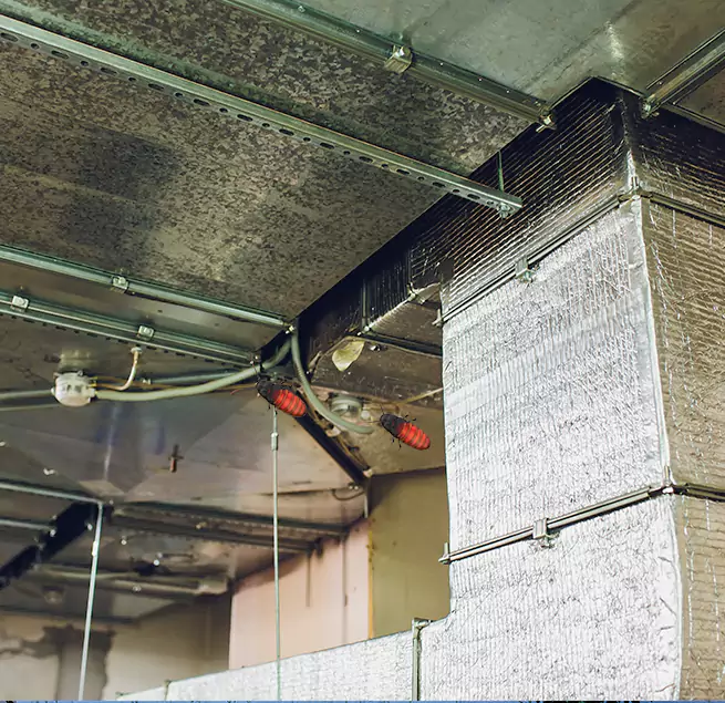 Why Homeowners & Businesses Trust Us in Pecan Grove, TX?