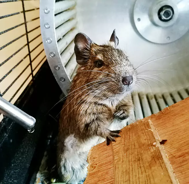 Why Homeowners & Businesses Trust Us Pecan Grove, TX