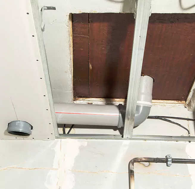 Why Homeowners & Businesses Trust Us in Pecan Grove, TX?