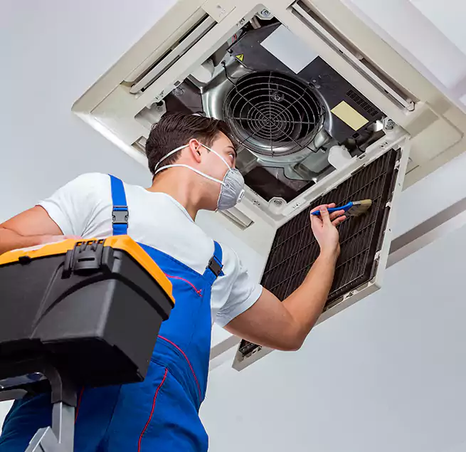 Why Homeowners & Businesses Trust Us in Pecan Grove, TX