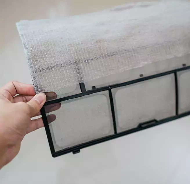 Why Homeowners & Businesses Trust Us in Pecan Grove, TX?