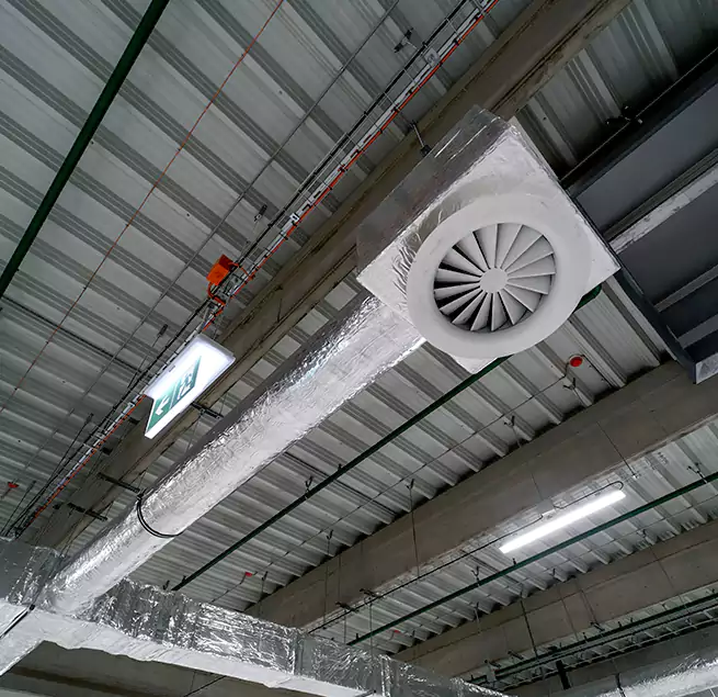 Why Homeowners & Businesses Trust Us in Pecan Grove, TX?