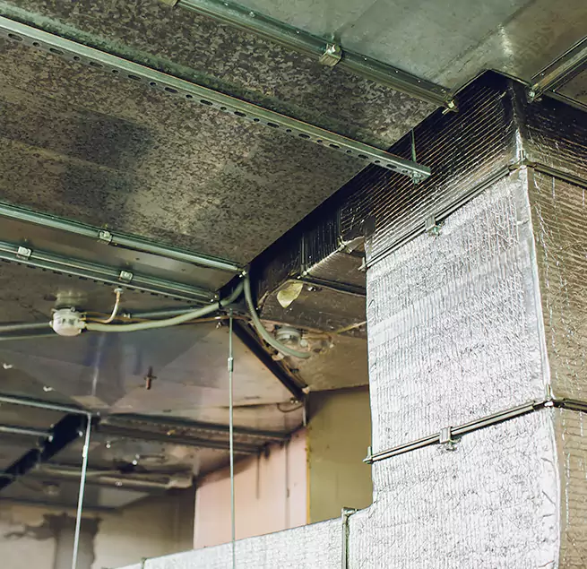 Why Homeowners & Businesses Trust Us in Pecan Grove, TX?