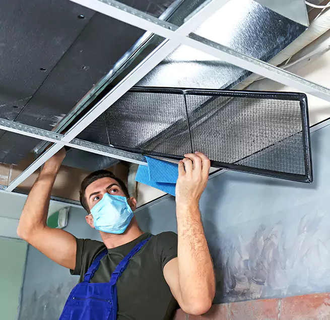 Why Homeowners Businesses Trust Us in Pecan Grove, TX?